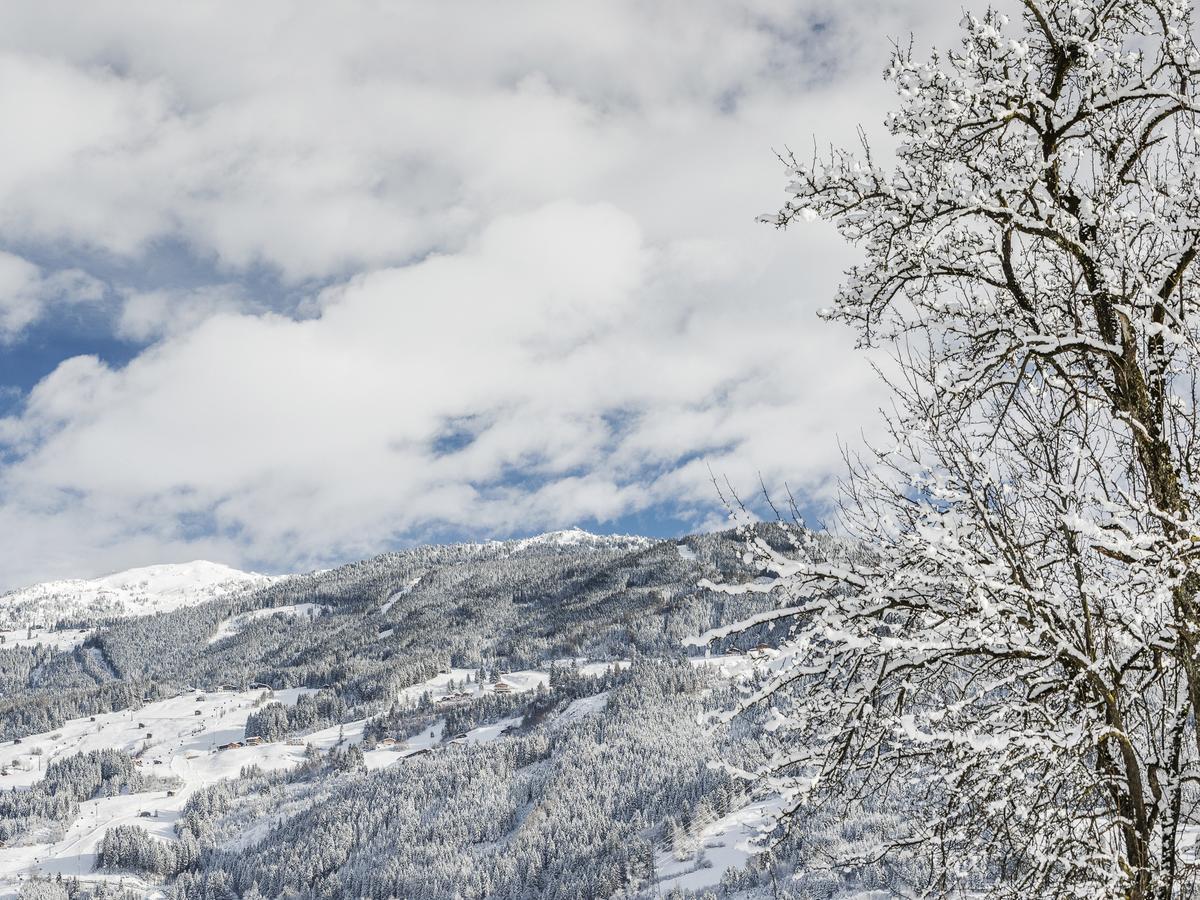 Tirol Haus Zillertal * Zell am Ziller